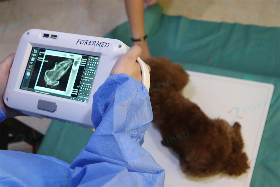 Mini Veterinary X Ray Machine  - Vet Tech Accessories บทวิจารณ์และราคา