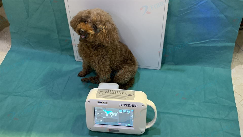 Mini Veterinary X Ray Machine  - Vet Tech Accessories บทวิจารณ์และราคา